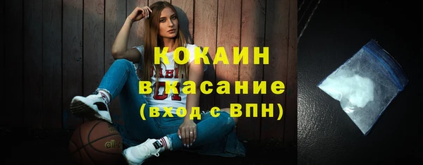 твердый Арсеньев