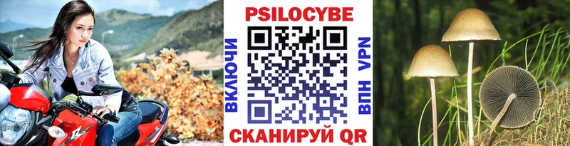 Псилоцибиновые грибы Psilocybe  Искитим 